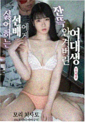 南来北往电视剧免费观看完整版 第38集 大结局